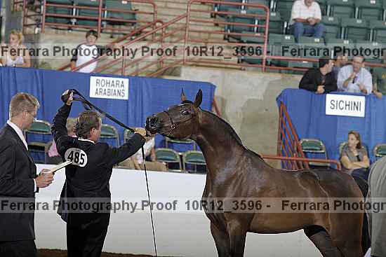 Proof 10r12_3596