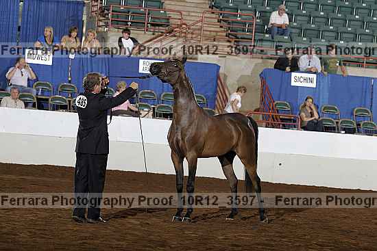 Proof 10r12_3597