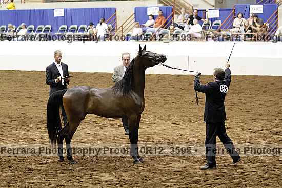 Proof 10r12_3598