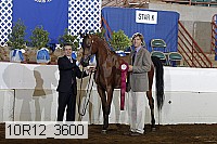 10r12_3600 proof