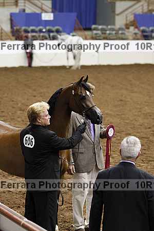 Proof 10r12_3607
