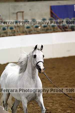 Proof 10r12_3609