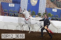 10r12_3616 proof