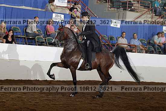 Proof 10r12_3621