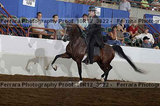Proof 10r12_3622