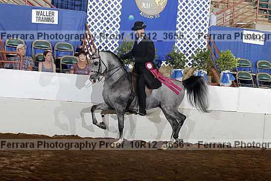 Proof 10r12_3656