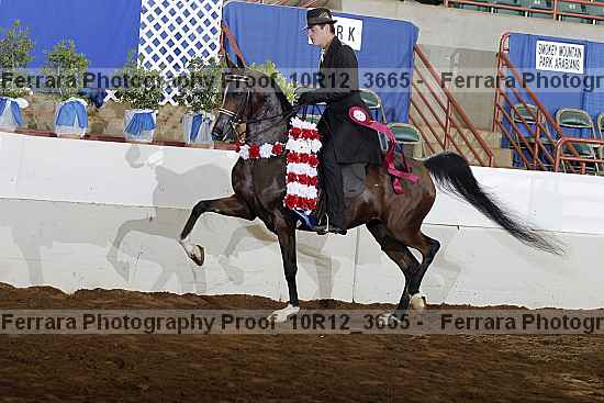 Proof 10r12_3665