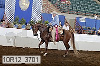 10r12_3701 proof