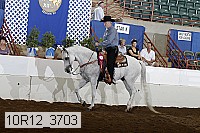10r12_3703 proof