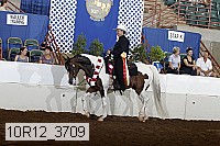 10r12_3709 proof