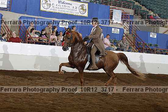 Proof 10r12_3717