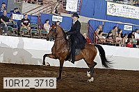 10r12_3718 proof