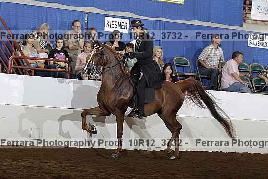 Proof 10r12_3732