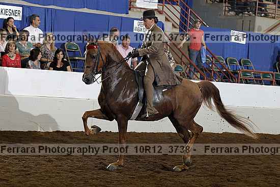 Proof 10r12_3738