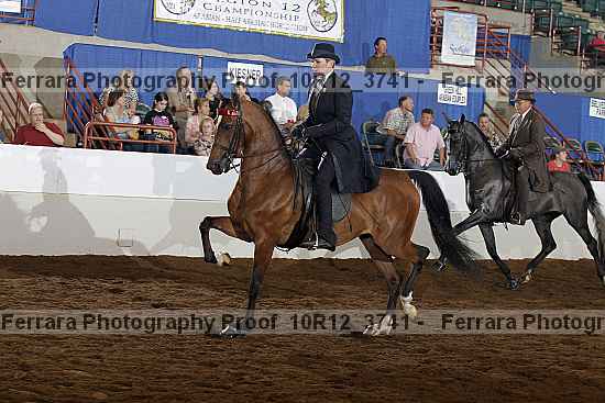 Proof 10r12_3741