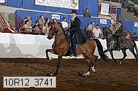 10r12_3741 proof