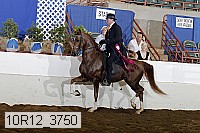 10r12_3750 proof