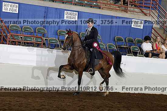 Proof 10r12_3756
