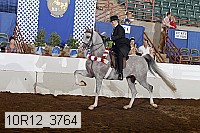 10r12_3764 proof