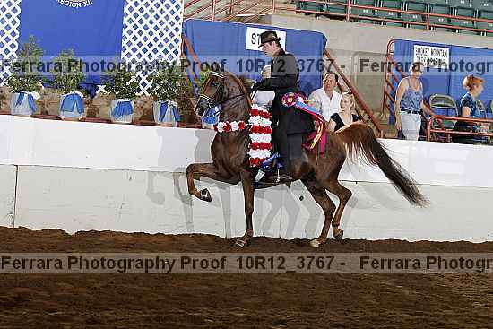 Proof 10r12_3767