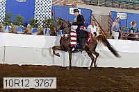 10r12_3767 proof