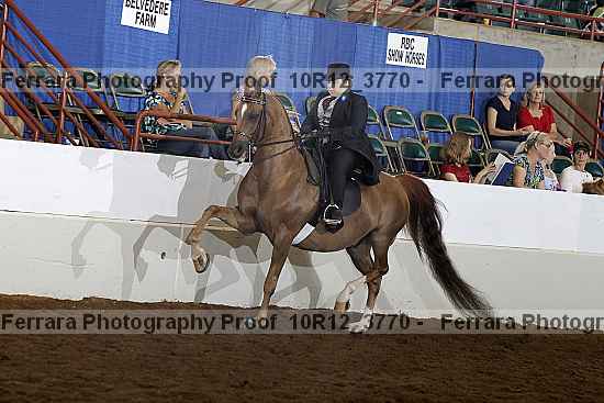 Proof 10r12_3770