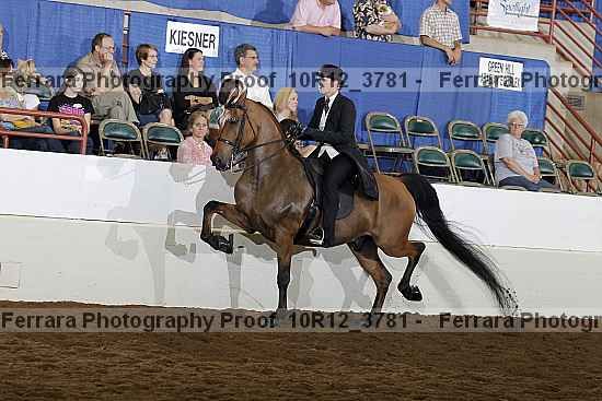 Proof 10r12_3781