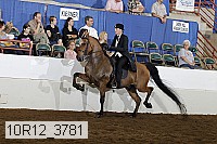 10r12_3781 proof