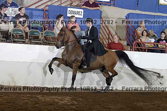 Proof 10r12_3782