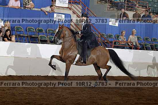Proof 10r12_3783