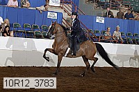 10r12_3783 proof