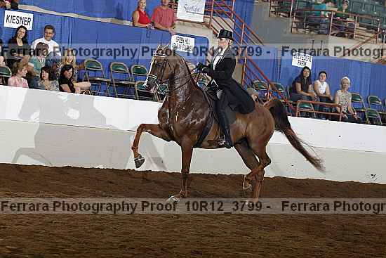 Proof 10r12_3799