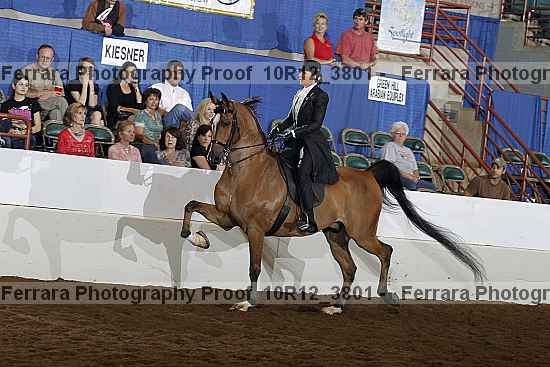 Proof 10r12_3801
