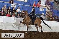 10r12_3801 proof