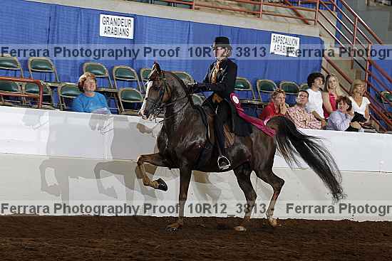 Proof 10r12_3813