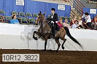 10r12_3822 proof