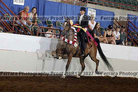 Proof 10r12_3827
