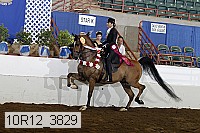 10r12_3829 proof