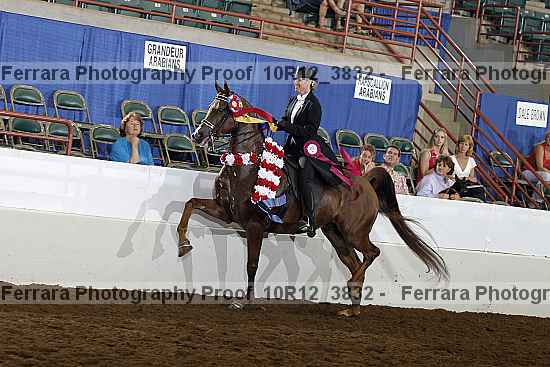 Proof 10r12_3832