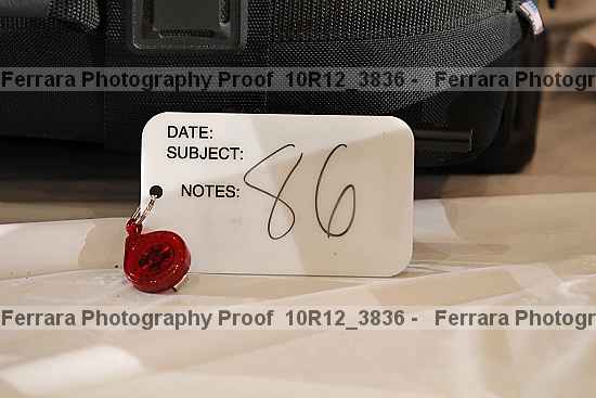 Proof 10r12_3836