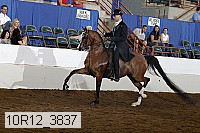 10r12_3837 proof