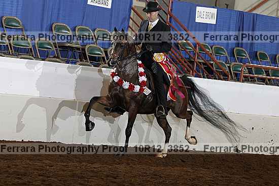 Proof 10r12_3852
