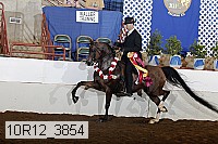 10r12_3854 proof