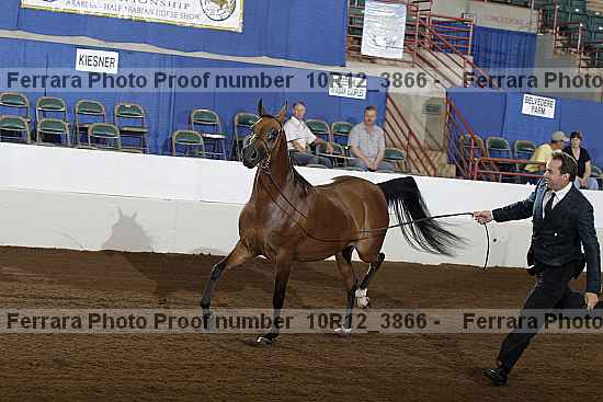 Proof 10r12_3866