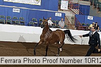 10r12_3866 proof