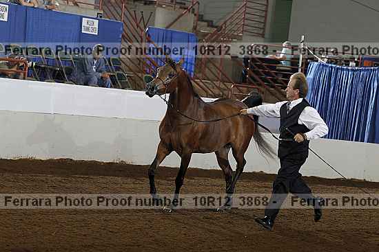 Proof 10r12_3868