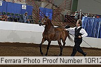 10r12_3868 proof