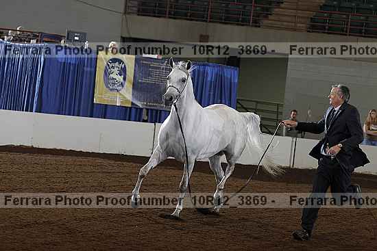Proof 10r12_3869