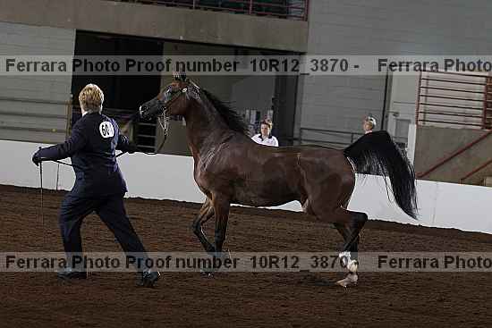 Proof 10r12_3870