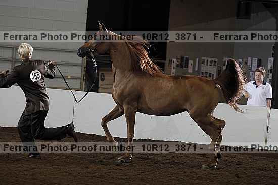 Proof 10r12_3871